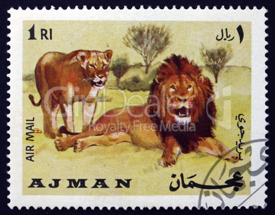 postage stamp ajman 1969 african lion, panthera leo, animal