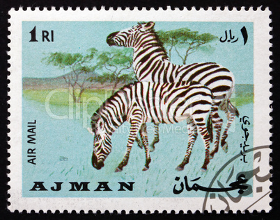 postage stamp ajman 1969 plains zebra, equus quagga, animal