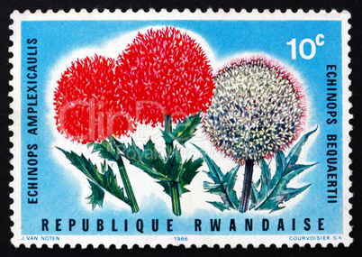 postage stamp rwanda 1966 globe thistle, echinops, flower