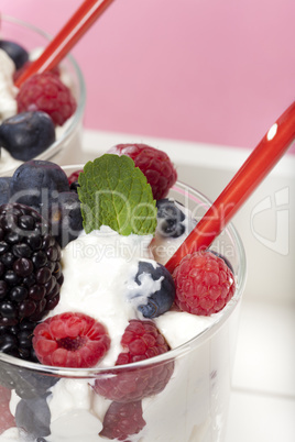 Joghurt-Mousse mit Buntem Beeren-Mix