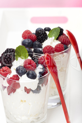 Joghurt-Mousse mit Buntem Beeren-Mix