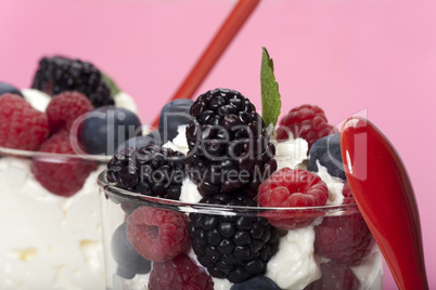 Joghurt-Mousse mit Buntem Beeren-Mix