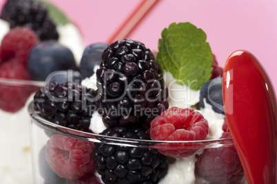 Joghurt-Mousse mit Buntem Beeren-Mix