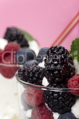 Joghurt-Mousse mit Buntem Beeren-Mix