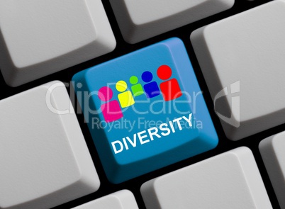 Diversity online