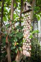 Home garden blinds made by various shell