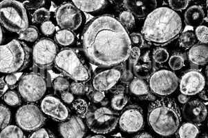 Firewood black and white background