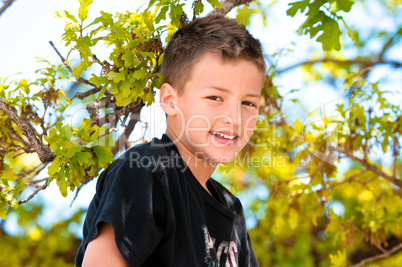 Young boy up in the tree