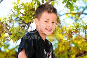 Young boy up in the tree