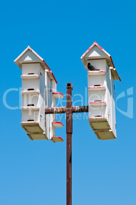 Multiple white bird houses