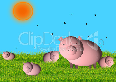 pig with small pigs