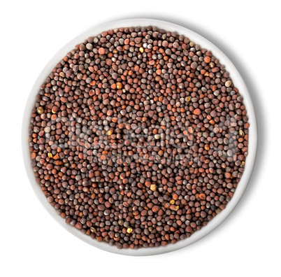 Black mustard seeds in plate isolated