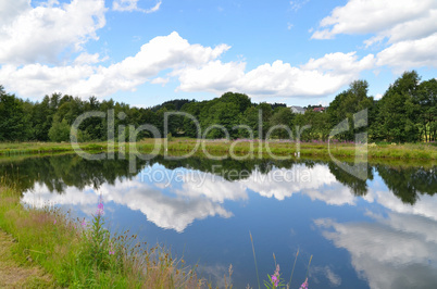 Teich See Sommer