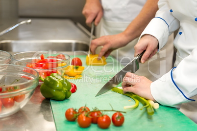 Close up of chefs cutting vegetables