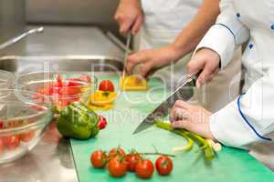 Close up of chefs cutting vegetables
