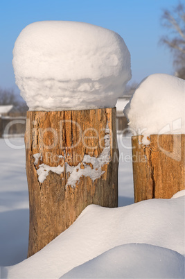 Tree Stump covered in snow.