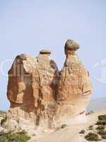 Camel of stone, Turkey