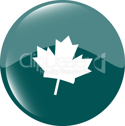 mapple leaf icon glassy green button