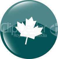 mapple leaf icon glassy green button