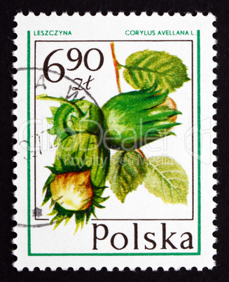 postage stamp poland 1977 hazelnut, forest fruit