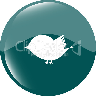 Glossy isolated website and internet web icon with bird symbol
