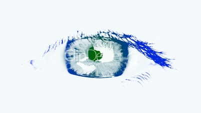 Large eye of the woman. Tinted blue and green