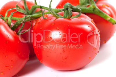 Ripe tomato with water drops on white background