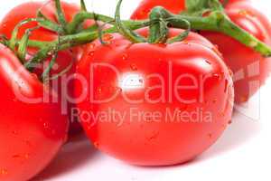 Ripe tomato with water drops on white background