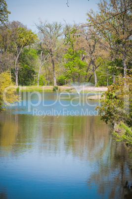 Beautiful pond water fountain