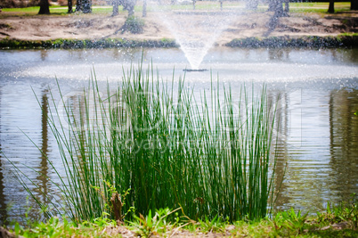 Scenic pond