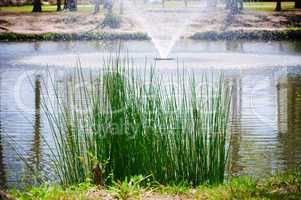 Scenic pond