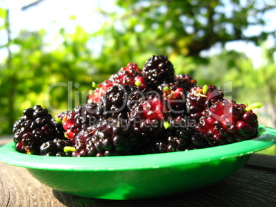 ripe dark berries of mulberry on a plate