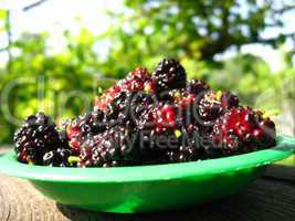 ripe dark berries of mulberry on a plate
