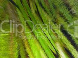 green background with abstract stripes