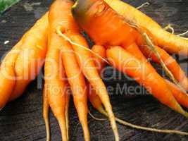 hand with a bunch of carrots