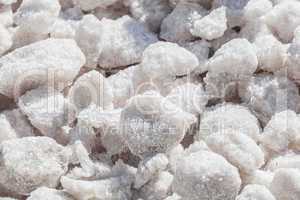 Crystals of sea salt