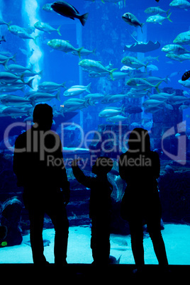 Huge aquarium in a hotel Atlantis in Dubai on the Palm islands