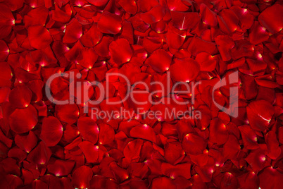 Background of red rose petals