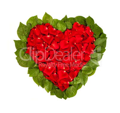 Heart shape made out of rose