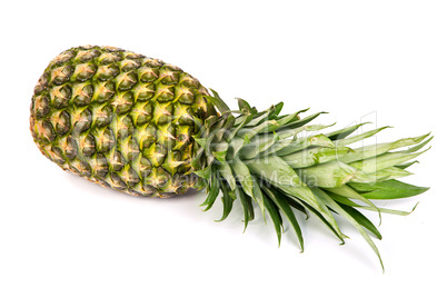 Single pineapple isolated on white