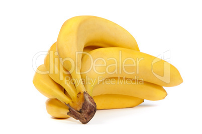 A bunch of bananas isolated