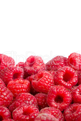 Ripe raspberries fruit background. ?solated on white