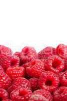 Ripe raspberries fruit background. ?solated on white