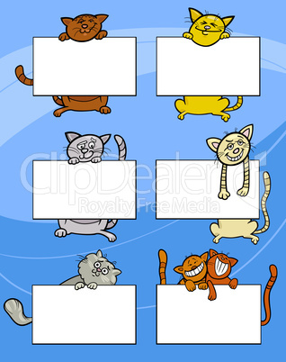 cartoon cats with board or card set