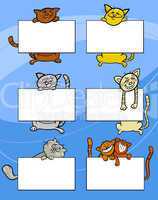cartoon cats with board or card set