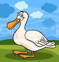 duck bird farm animal cartoon illustration