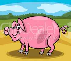 pig farm animal cartoon illustration