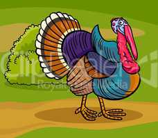 turkey farm bird animal cartoon illustration