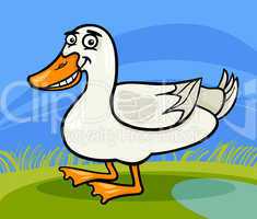 duck farm bird animal cartoon illustration
