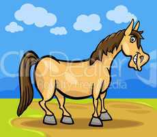 horse farm animal cartoon illustration